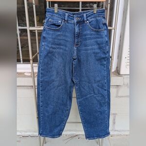 Universal Standard Lou High-Rise Barrel-Leg Jeans Size 6 Anthropologie
